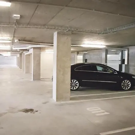 Rezidence Certovka 2121 Free Parking Garage Apartment Karlovy Vary