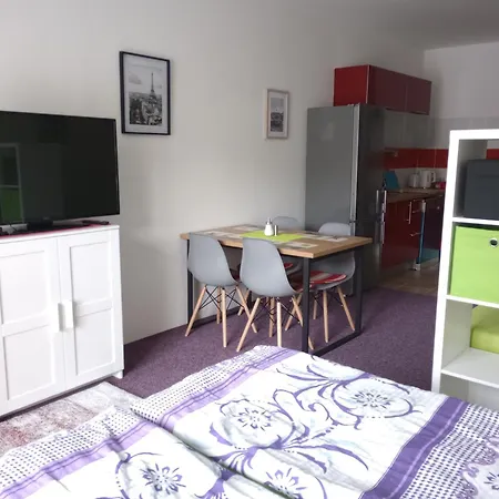 Rezidence Certovka 2121 Free Parking Garage Apartment Karlovy Vary